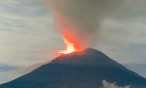 pexels-israwmx-17404089 (1)