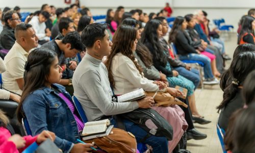 pexels-israwmx-28688230 (1)