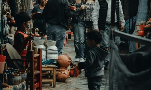 pexels-jorge-acre-239933086-16624871 (1)