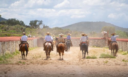 pexels-patricia-contreras-1637526052-28129042