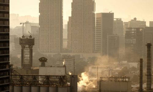 pexels-rulo-mora-227265774-12194174 (2)